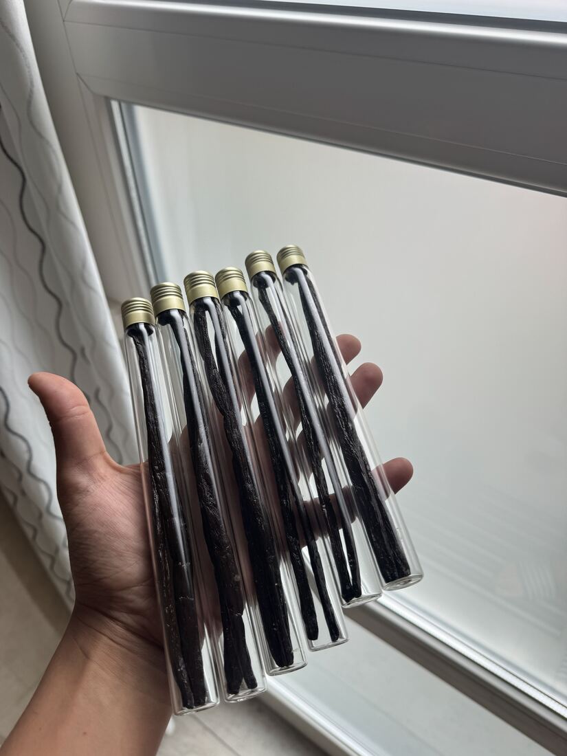 Tubes de verre contenant chacun deux gousses de vanille, tenus en main